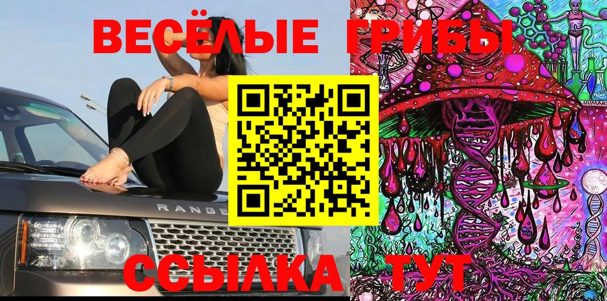 Кандалакша  Псилоцибиновые грибы Psilocybe  Вход с VPN 